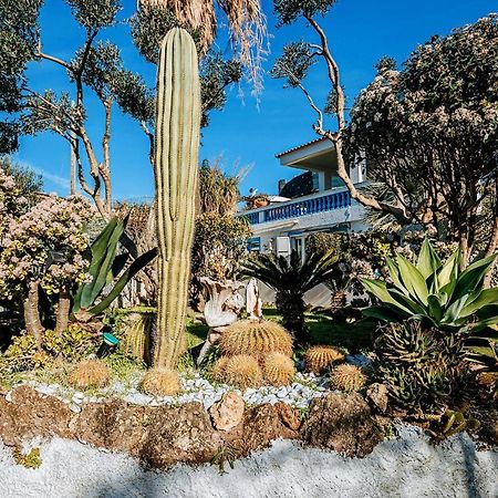 Appartamenti Ischia Casa Don Peppe Forio di Ischia 外观 照片