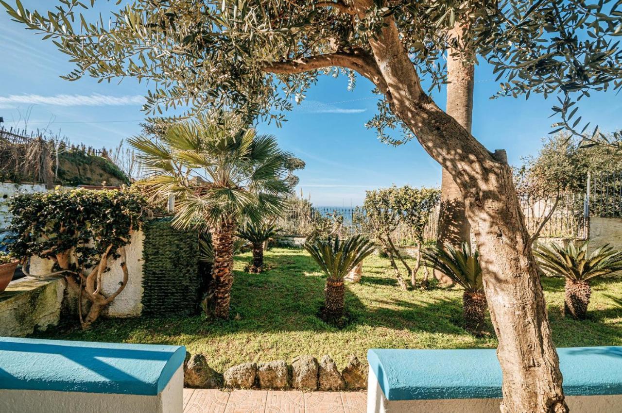 Appartamenti Ischia Casa Don Peppe Forio di Ischia 外观 照片