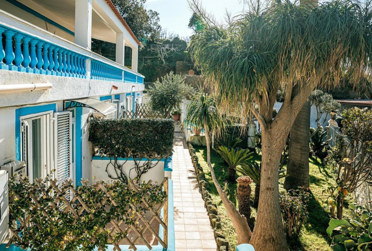 Appartamenti Ischia Casa Don Peppe Forio di Ischia 外观 照片
